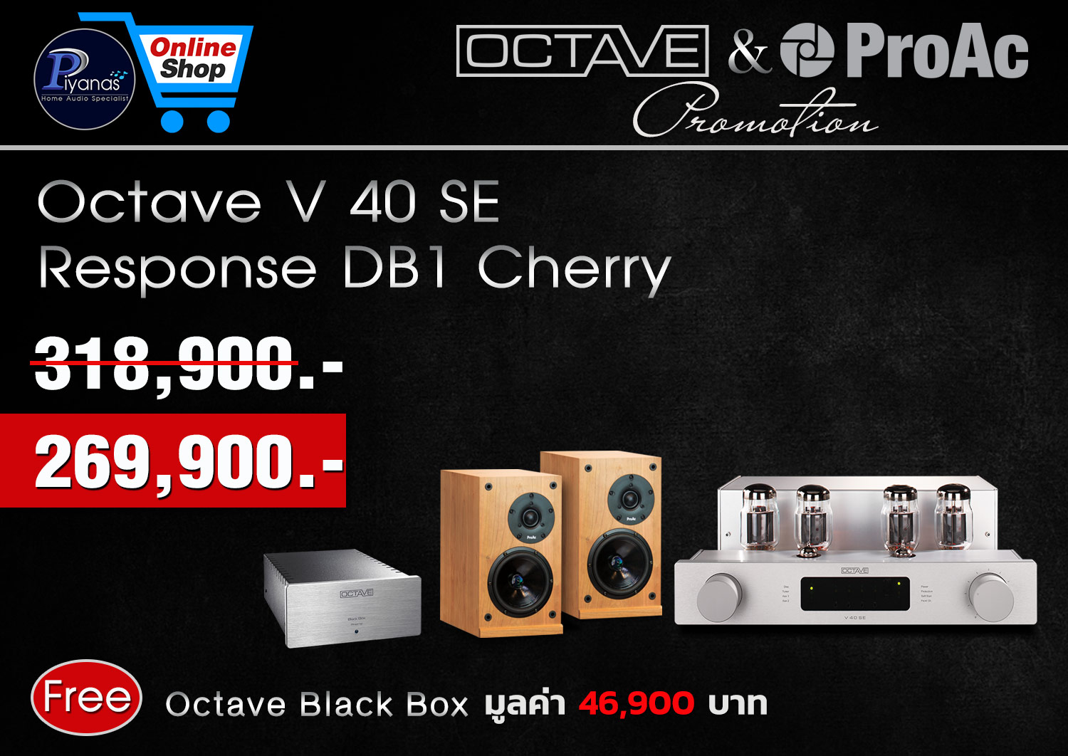 V-40 SE + PROAC Response DB-1 (CHERRY)