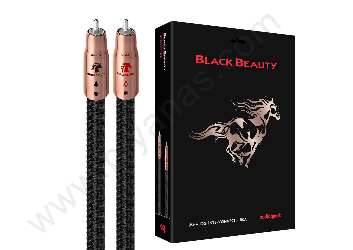 Black Beauty RCA (1.0M)