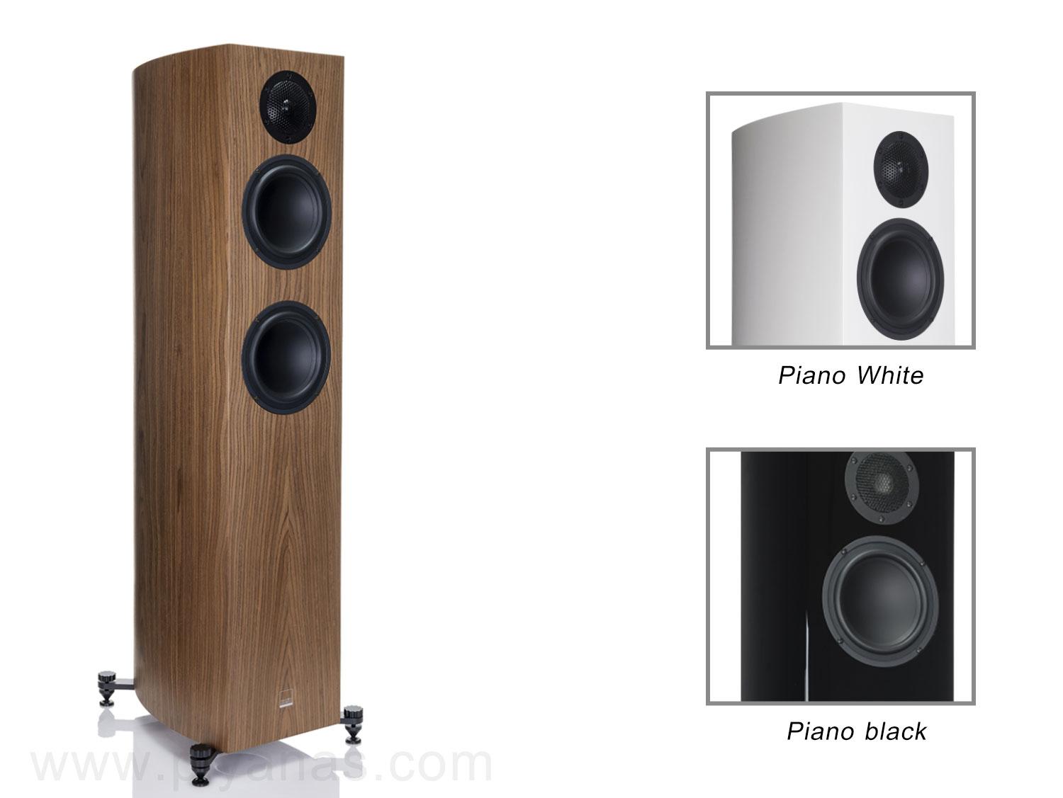 Capello 80 (Aluminum Tweeter) (Walnut)